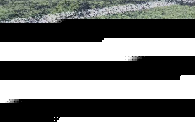 申花官宣斯卢茨基不再担任一线队主教练